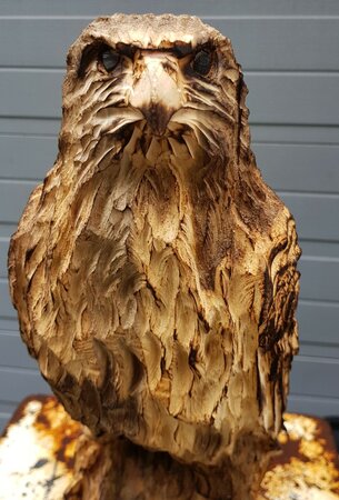 Houtsnijwerk roofvogel