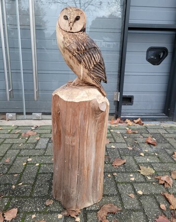 Groot houtsculptuur van een Kerkuil