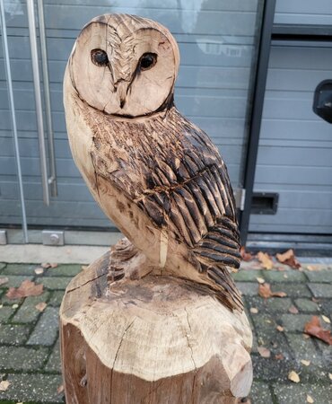 Groot houtsculptuur van een Kerkuil