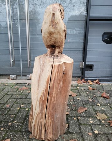 Groot houtsculptuur van een Kerkuil