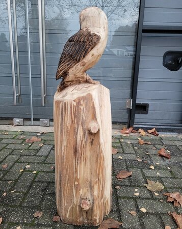 Groot houtsculptuur van een Kerkuil