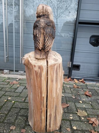 Groot houtsculptuur van een Kerkuil