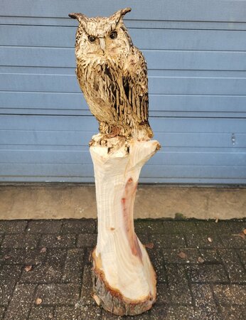 Groot houtsnijwerk van een Uil