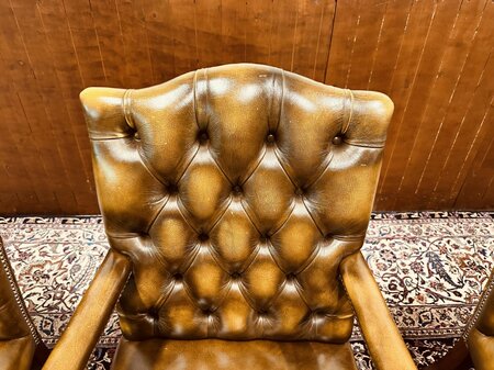 2 Springvale lederen eetkamerstoelen