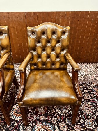 2 Springvale lederen eetkamerstoelen