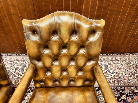2 Springvale lederen eetkamerstoelen