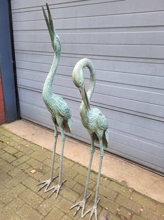 Koppel bronze kraanvogels