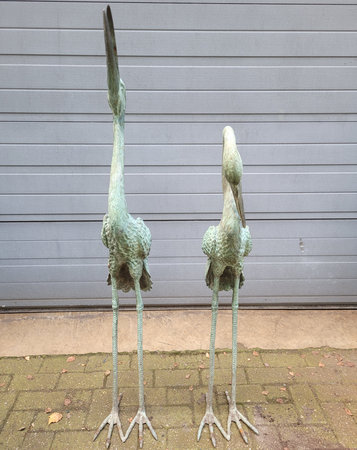 Koppel bronze kraanvogels