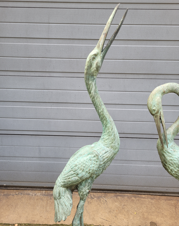 Koppel bronze kraanvogels