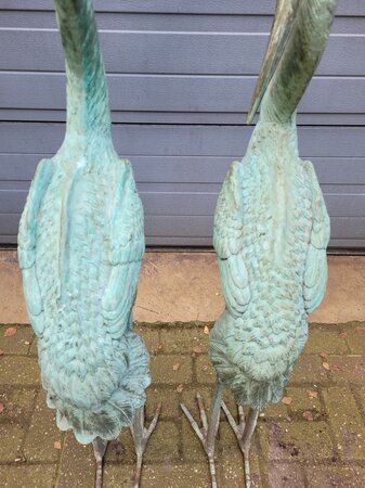 Koppel bronze kraanvogels