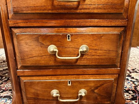 Klassiek Engels Globe Wernicke bureau