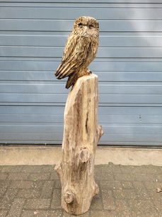 Houtsnijwerk van een Uil