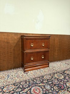 Originele Globe Wernicke Ladekast