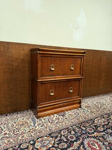 Originele Globe Wernicke Archiefkast