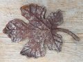 Wrought iron leaf - OS25