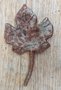 Wrought iron leaf - OS24