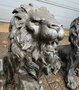 Antiek koppel bronze Leeuwen