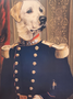 Poster van Hond in klederdracht #5