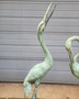 Koppel bronze kraanvogels