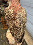 Large Woodcarving of an Adler