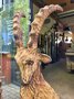 Groot houtsnijwerk van een Steenbok