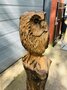 Wood carving of an Owl